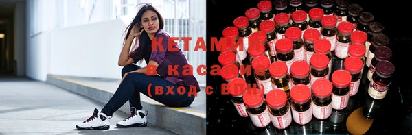 шишки Алексин