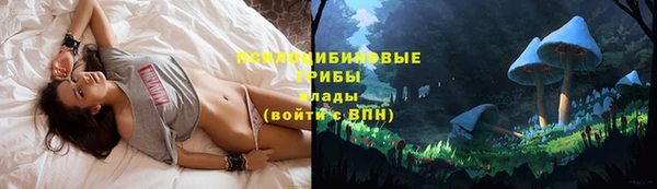 шишки Алексин