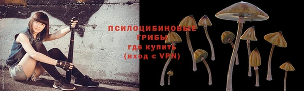 шишки Алексин