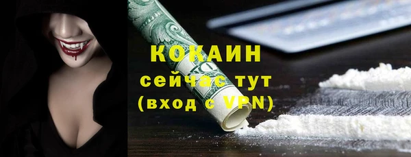 шишки Заволжье