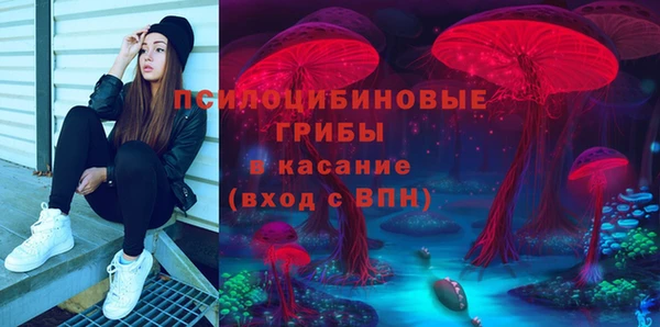 стафф Алзамай