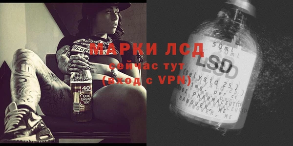 стафф Алзамай